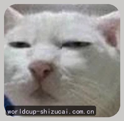 孙哥